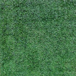 Grass Wall Backdrop Photo Booth